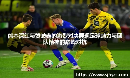 永利集团3044官网欢迎您
